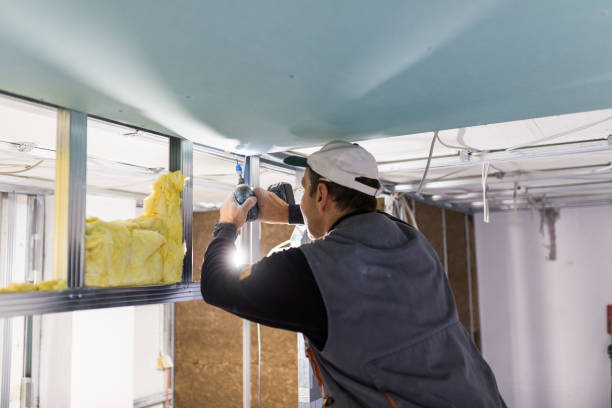 Best Insulation Removal Services  in Williston Park, NY