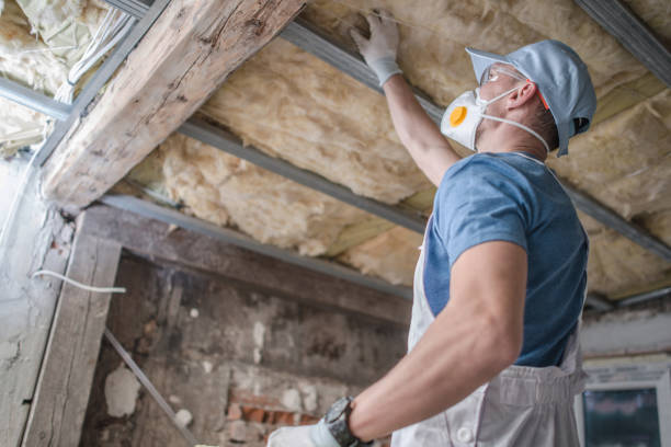 Professional Insulation Contractor in Williston Park, NY