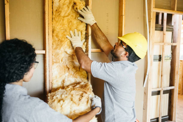 Best Best Insulation Companies  in Williston Park, NY