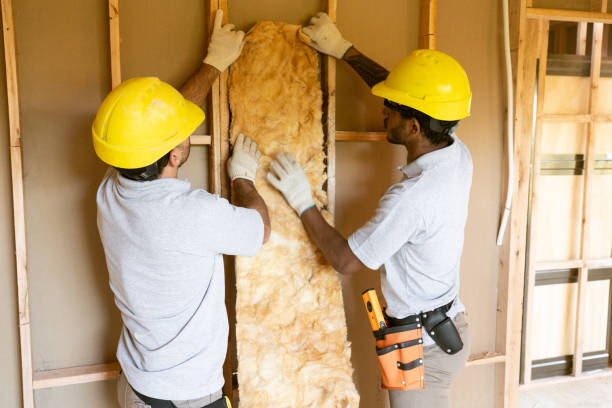 Best Insulation Replacement Services  in Williston Park, NY