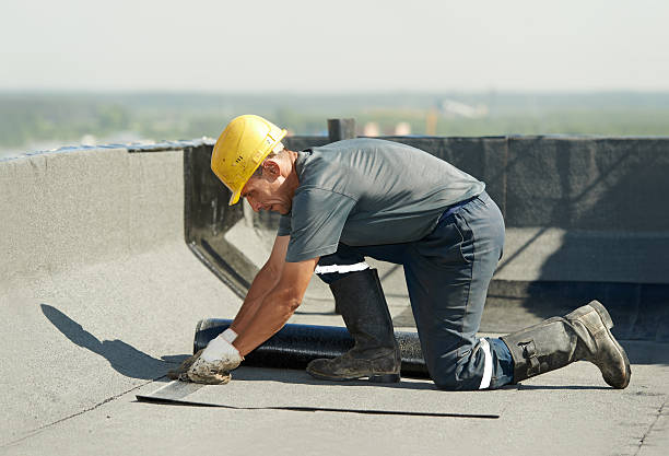 Best Professional Insulation Contractor  in Williston Park, NY